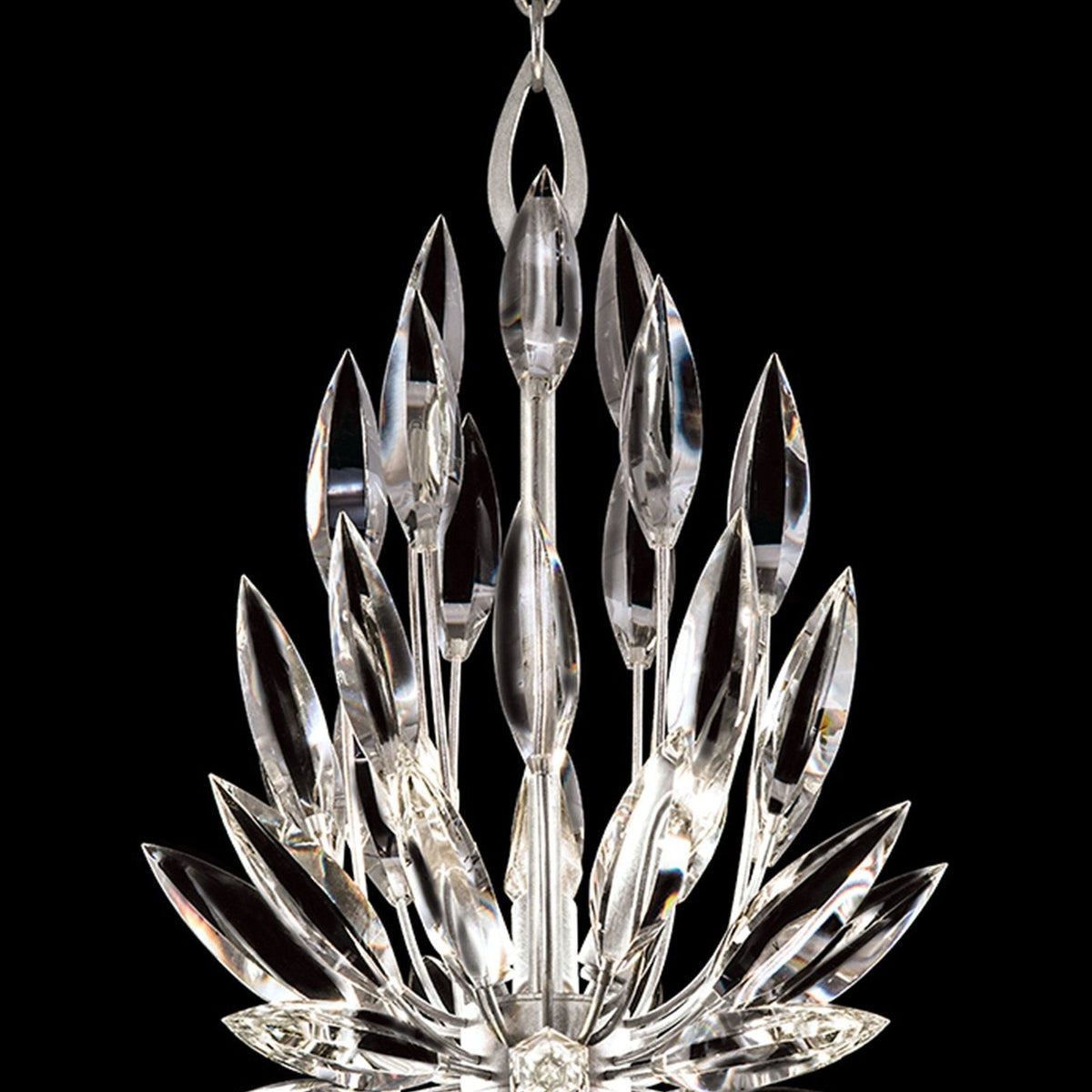 Fine Art Lily Buds 12