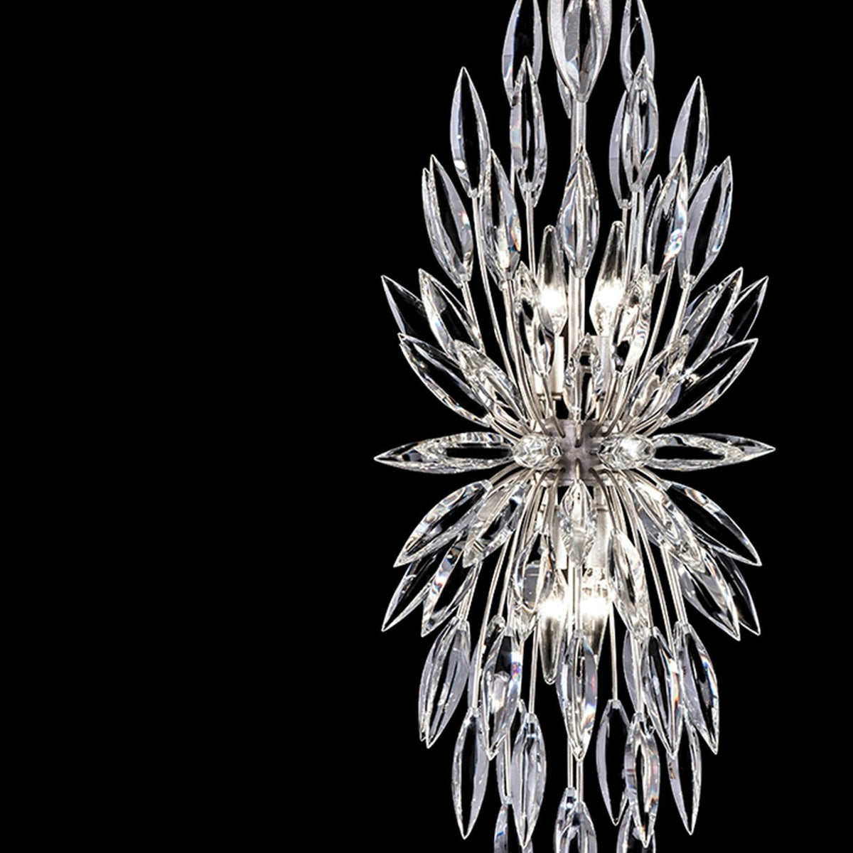 Fine Art Lily Buds 13