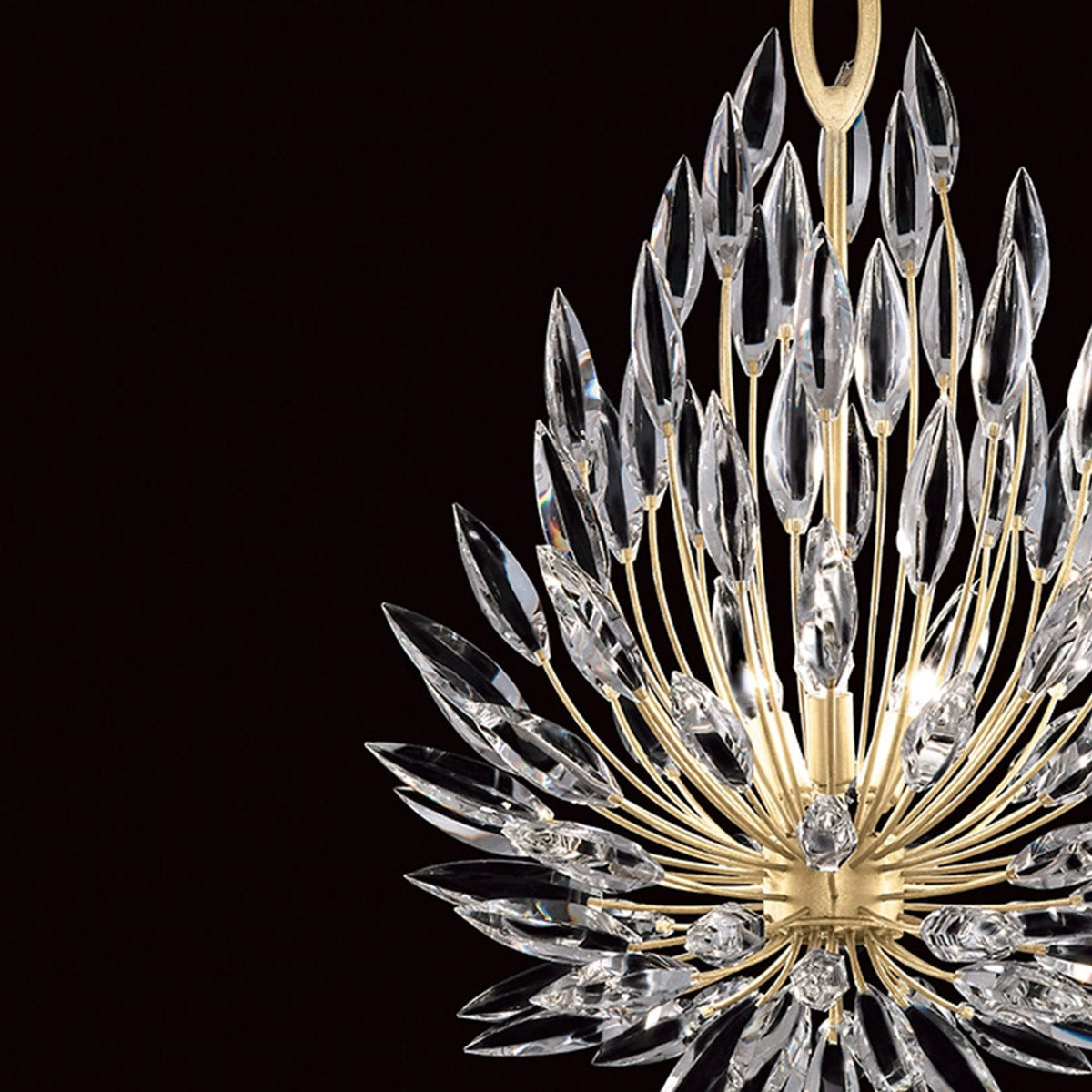 Fine Art Lily Buds 19