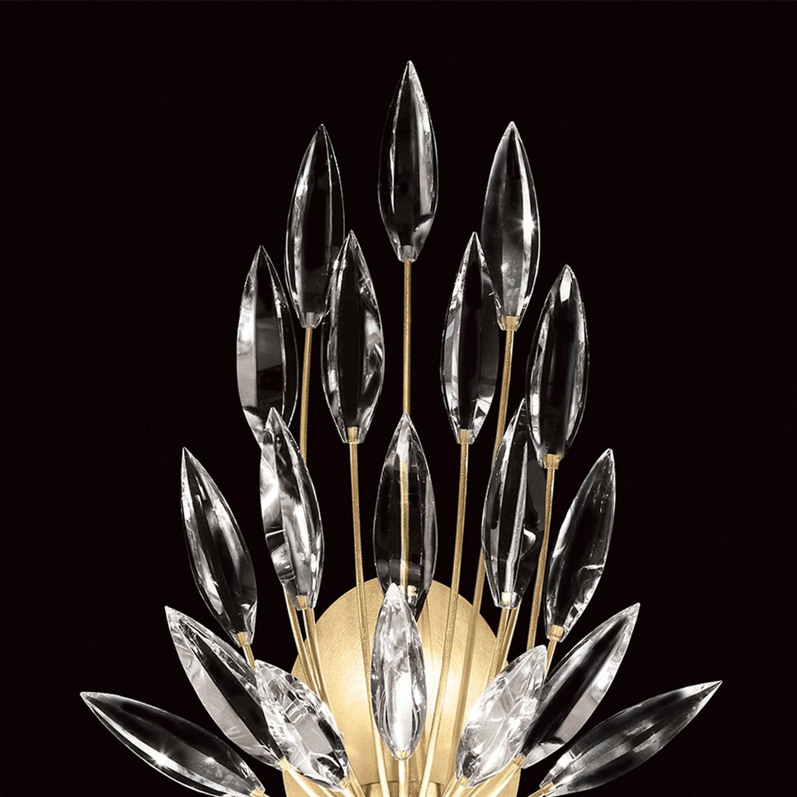 Fine Art Lily Buds 22