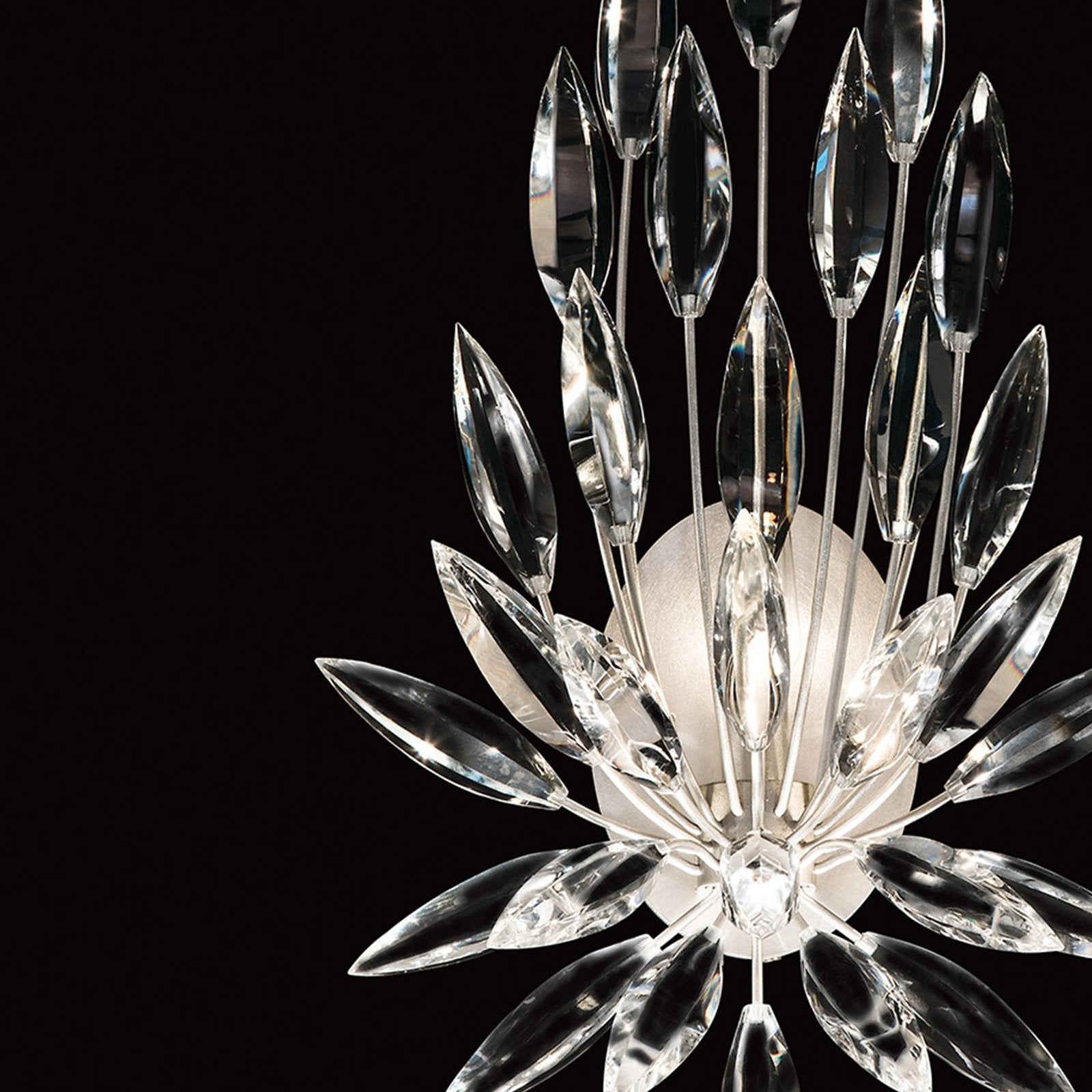 Fine Art Lily Buds 22