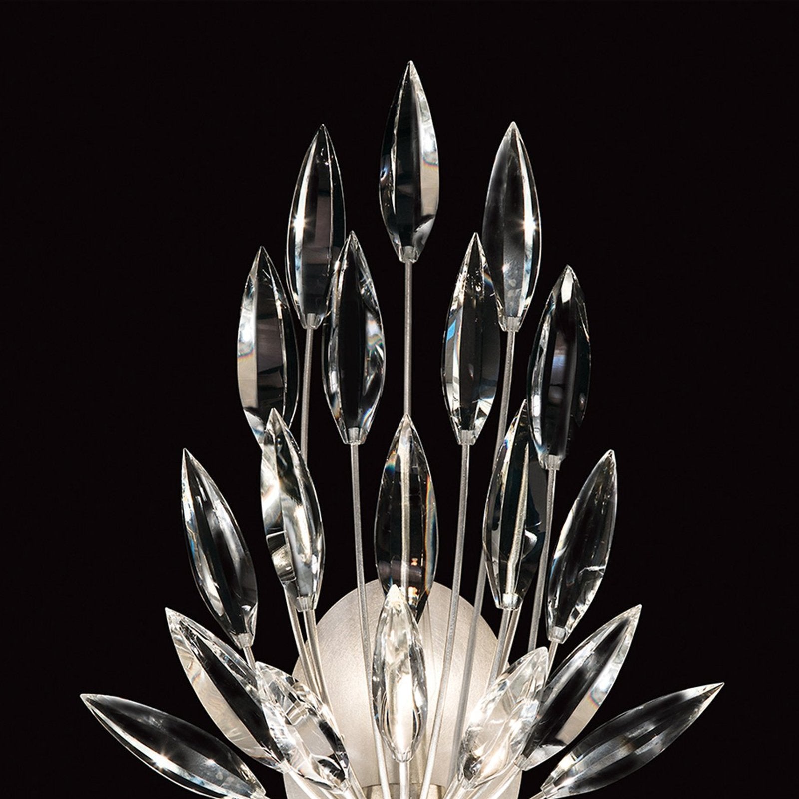 Fine Art Lily Buds 22