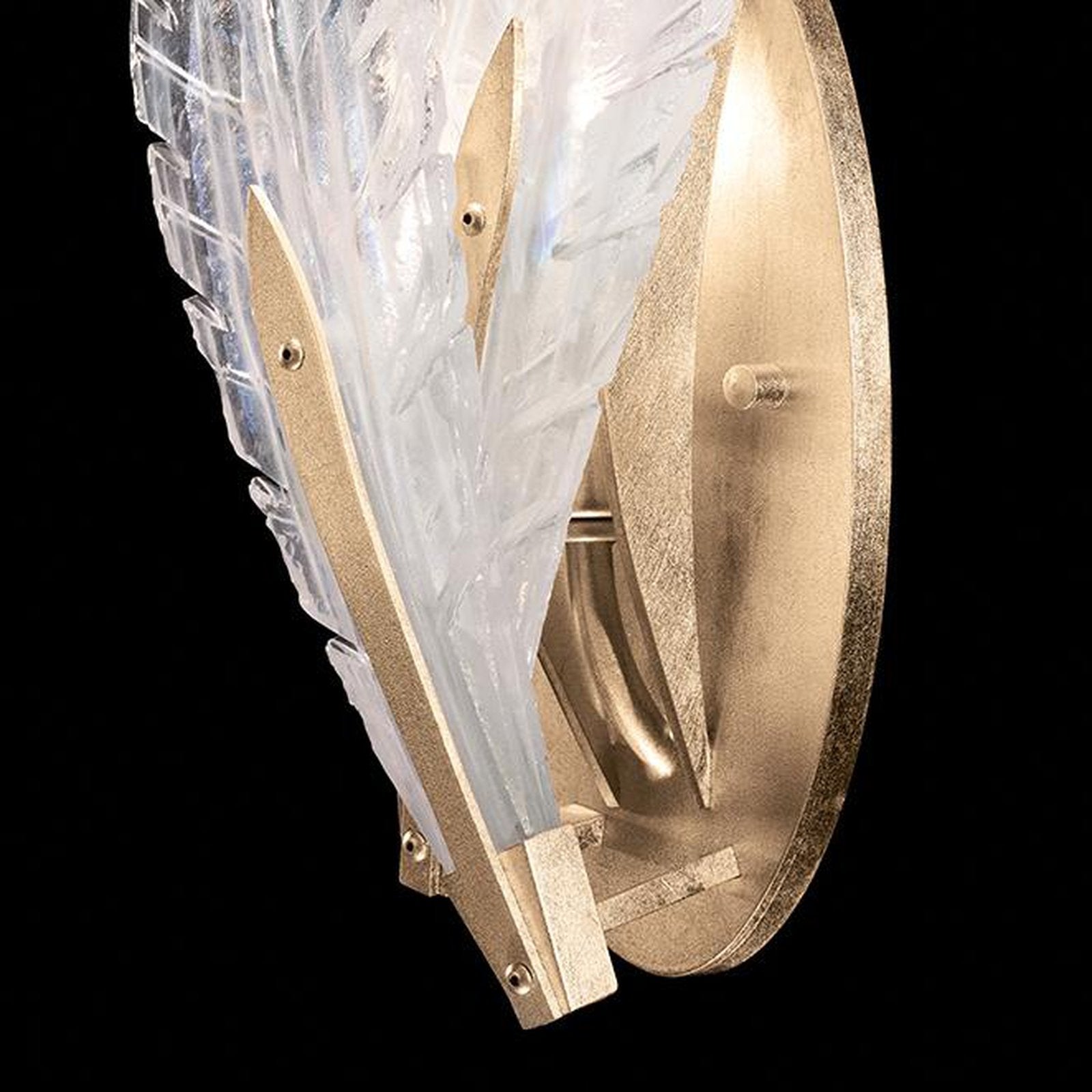 Fine Art Plume 16