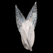 Fine Art Plume 16