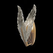 Fine Art Plume 16