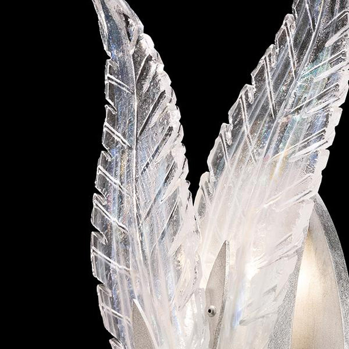 Fine Art Plume 16