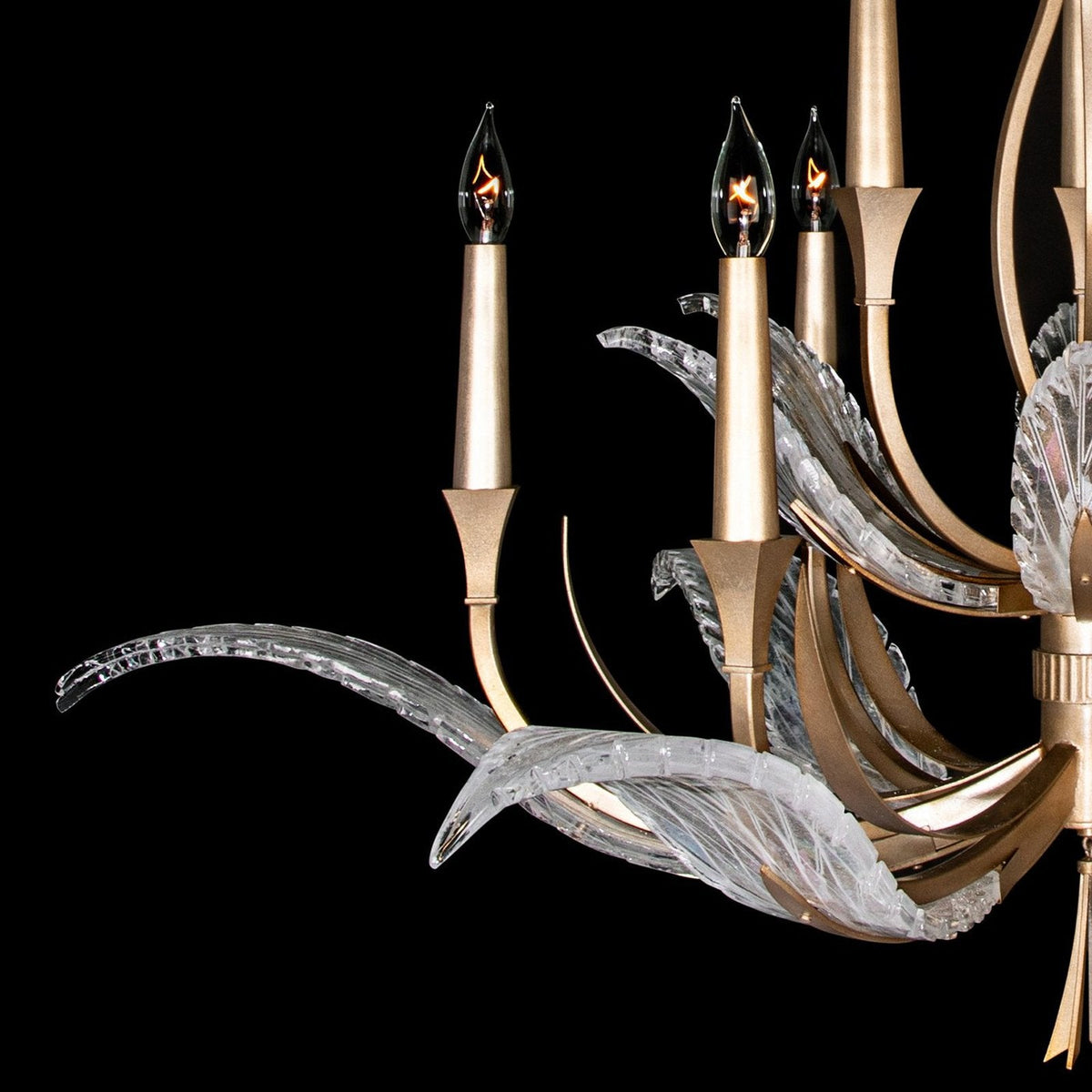 Fine Art Plume 45