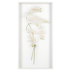 John Richard Study Of Orchids Wall Art
