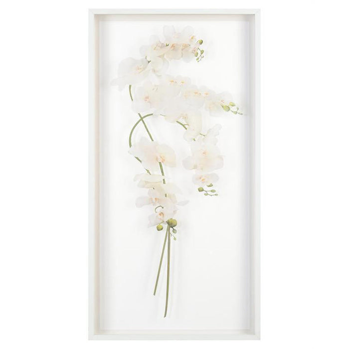 John Richard Study Of Orchids Wall Art