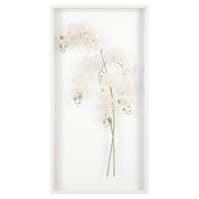 John Richard Study Of Orchids Wall Art