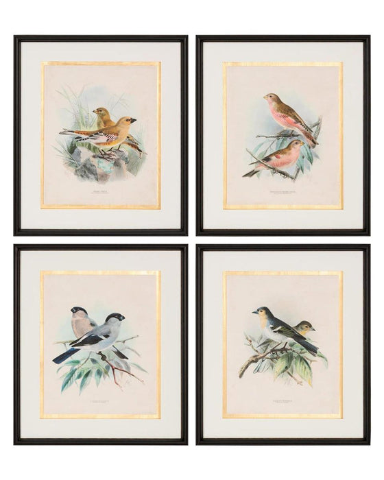 John Richard Antique Birds Iv Wall Art