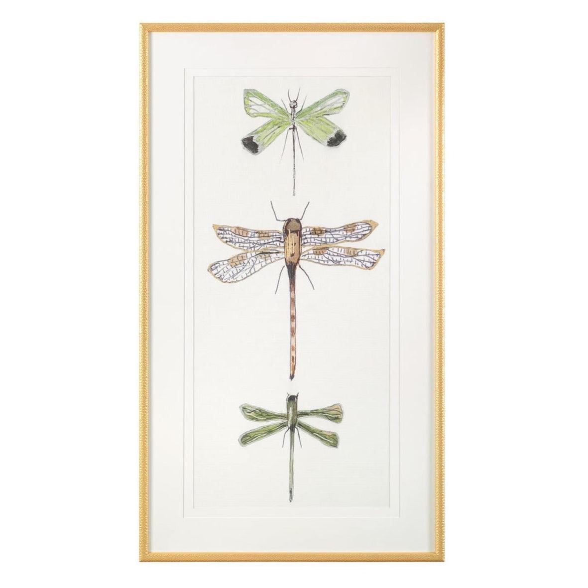 John Richard Joy Colangelo's Joyful Dragonflies Wall Art