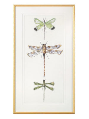 John Richard Joy Colangelo's Joyful Dragonflies Wall Art