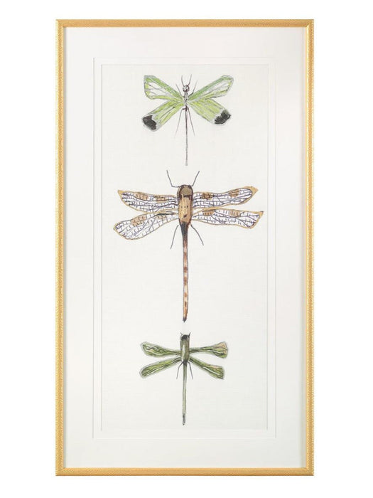 John Richard Joy Colangelo's Joyful Dragonflies Wall Art