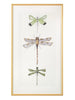 John Richard Joy Colangelo's Joyful Dragonflies Wall Art