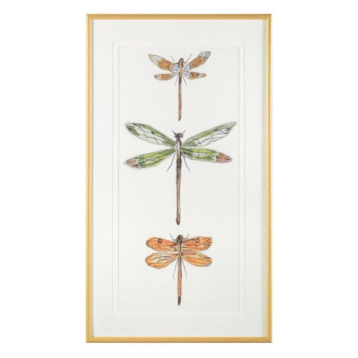 John Richard Joy Colangelo's Joyful Dragonflies Wall Art