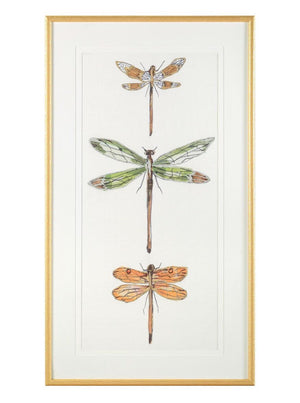 John Richard Joy Colangelo's Joyful Dragonflies Wall Art