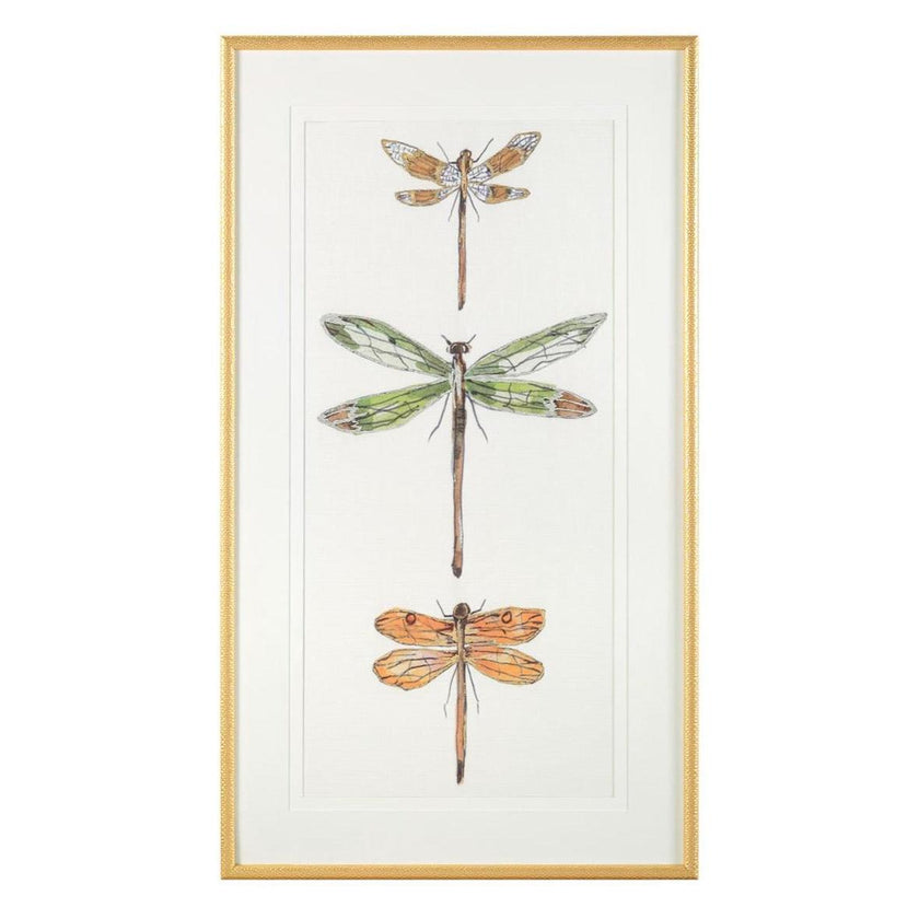 John Richard Joy Colangelo's Joyful Dragonflies Wall Art