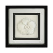 John Richard Black-And-White Porcelain Flower Wall Art
