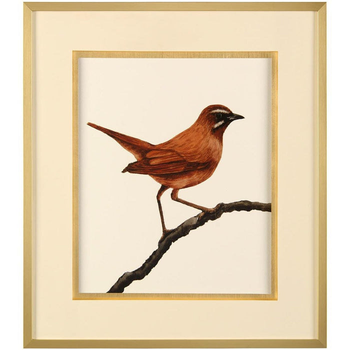 John Richard Bird On A Branch Iii Wall Arts