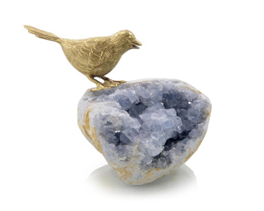 John Richard Bird on Celestite Rock