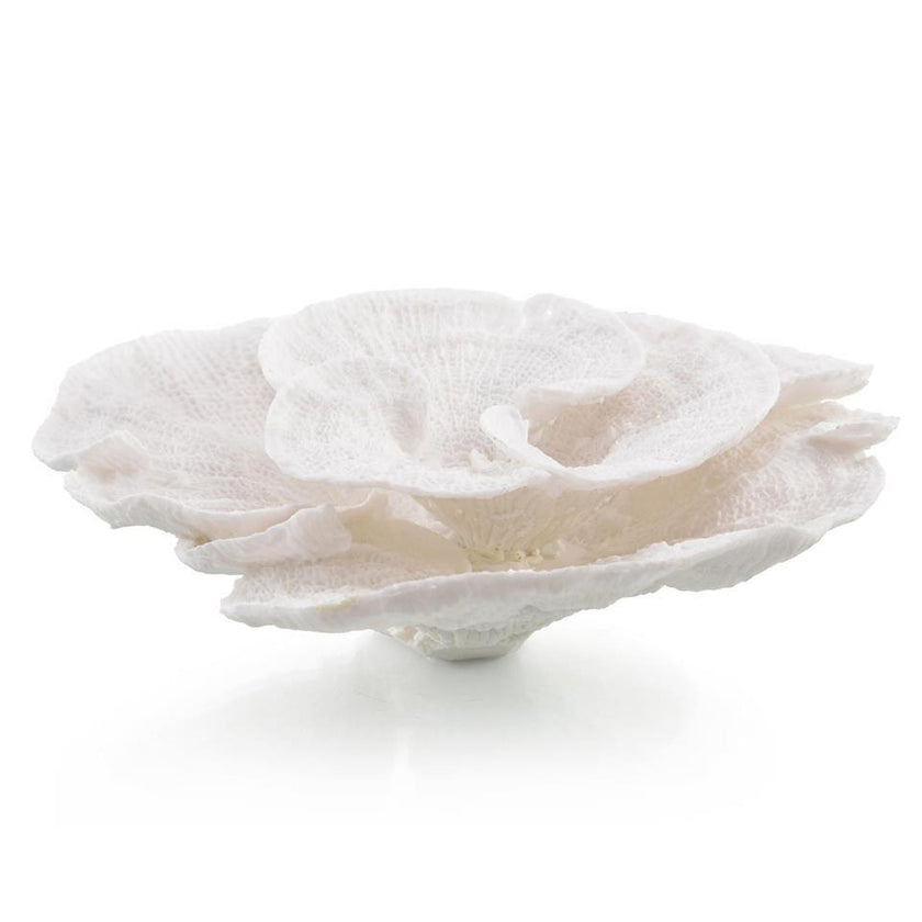 John Richard Decor Foliose Coral