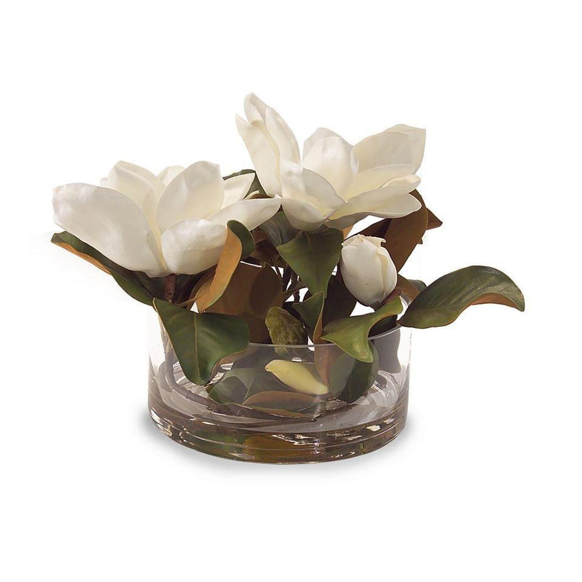 John Richard Decor Magnolia Grandiflora