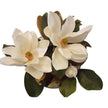 John Richard Decor Magnolia Grandiflora