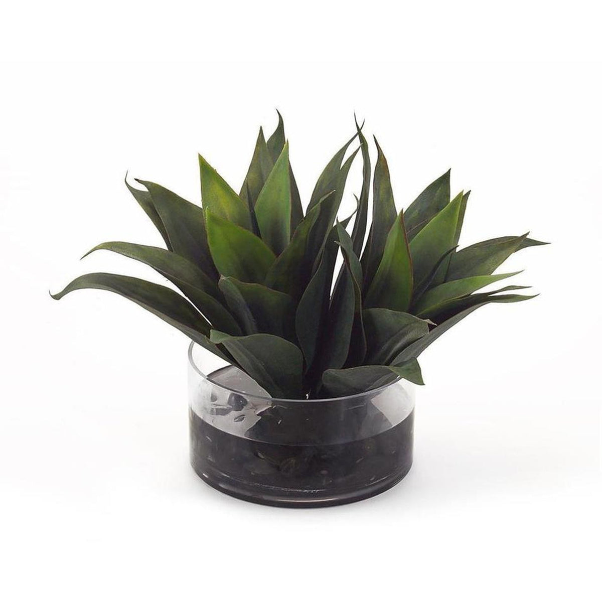 John Richard Decor Aqua Agave