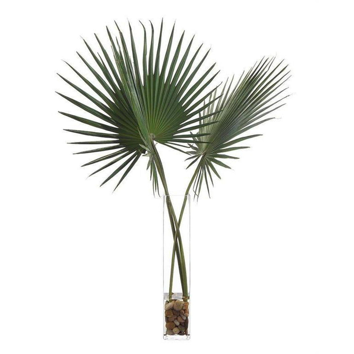 John Richard Decor Delta Palmettos