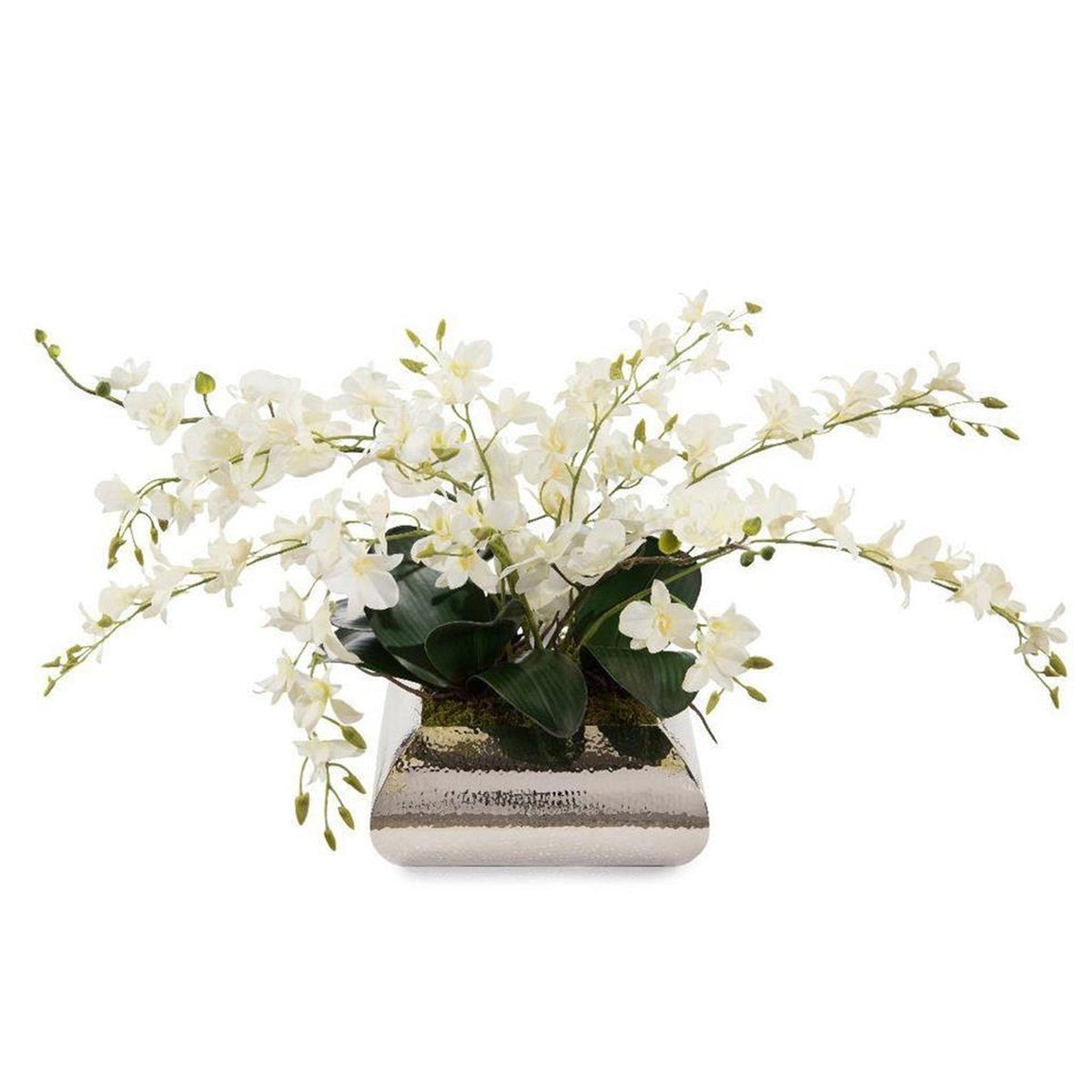 John Richard Decor Dendrobium Reflections
