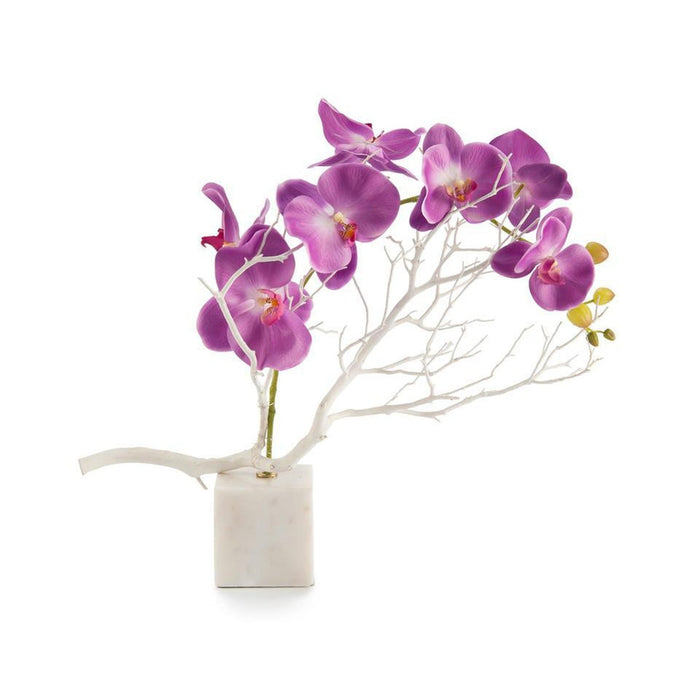John Richard Marble Orchids - 3635