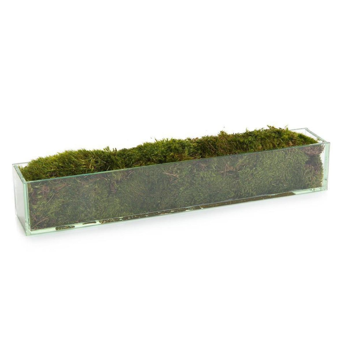 John Richard Decor Moss Mound