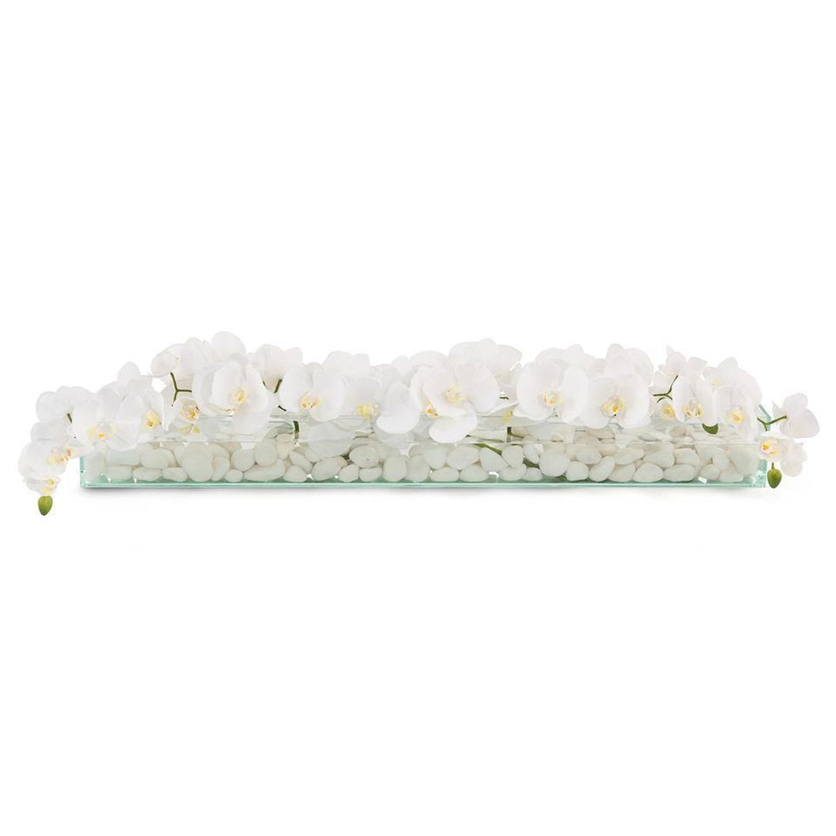 John Richard Decor Floating Orchids