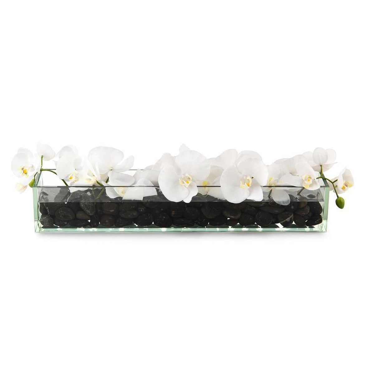 John Richard Decor Domino