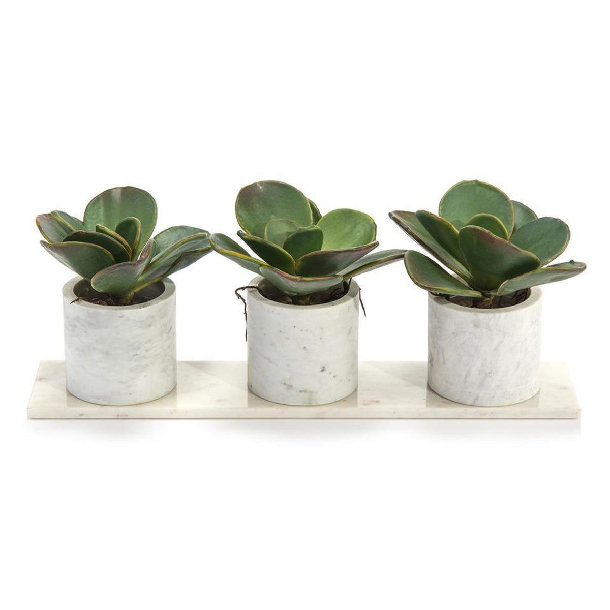 John Richard Decor Marble Succulents