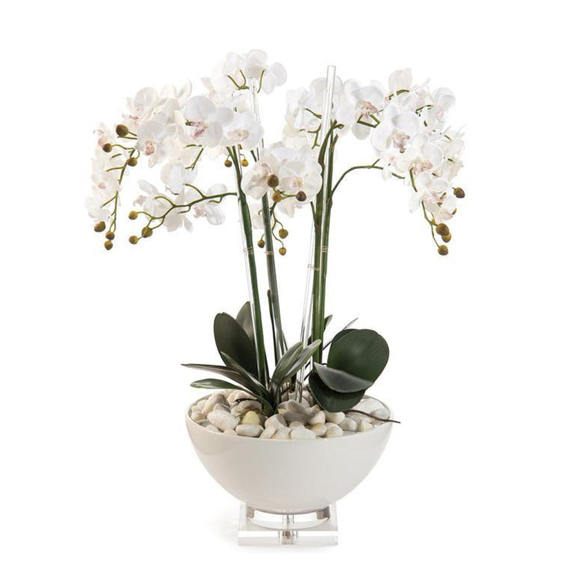 John Richard Decor White Orchids - 4265W