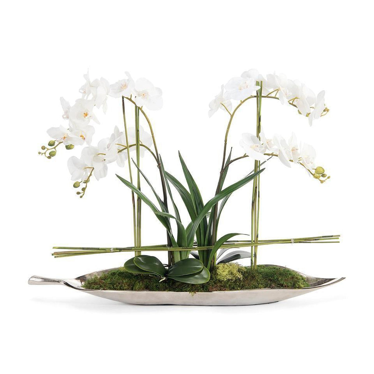 John Richard Decor Silver Leaf Orchids