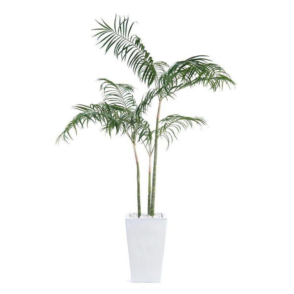 John Richard Decor White Palms