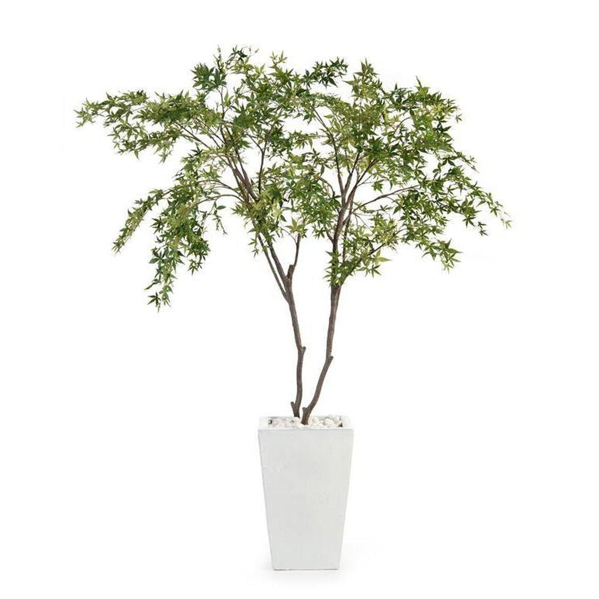 John Richard Decor White Maples