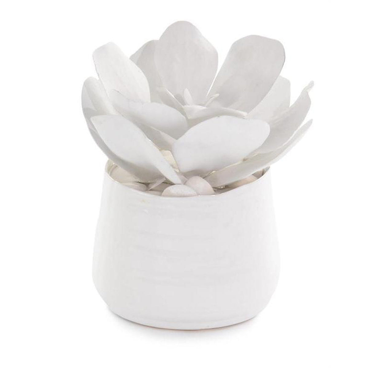 John Richard Decor White Succulents