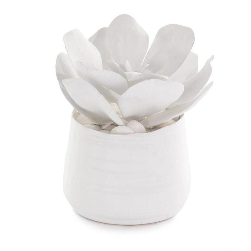 John Richard Decor White Succulents
