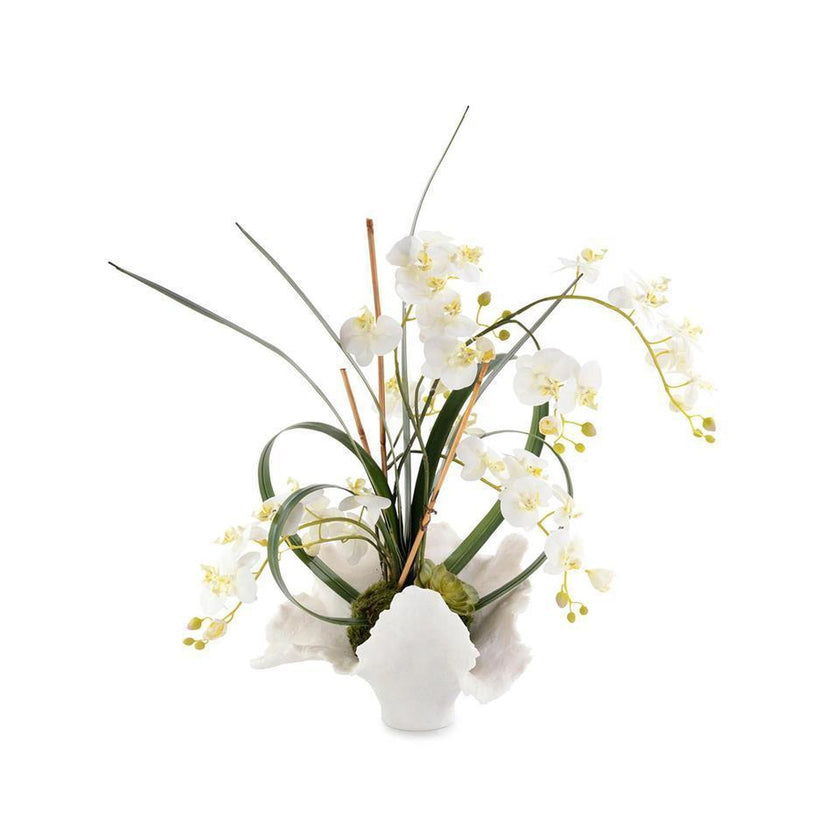 John Richard Decor White Orchids - 4445