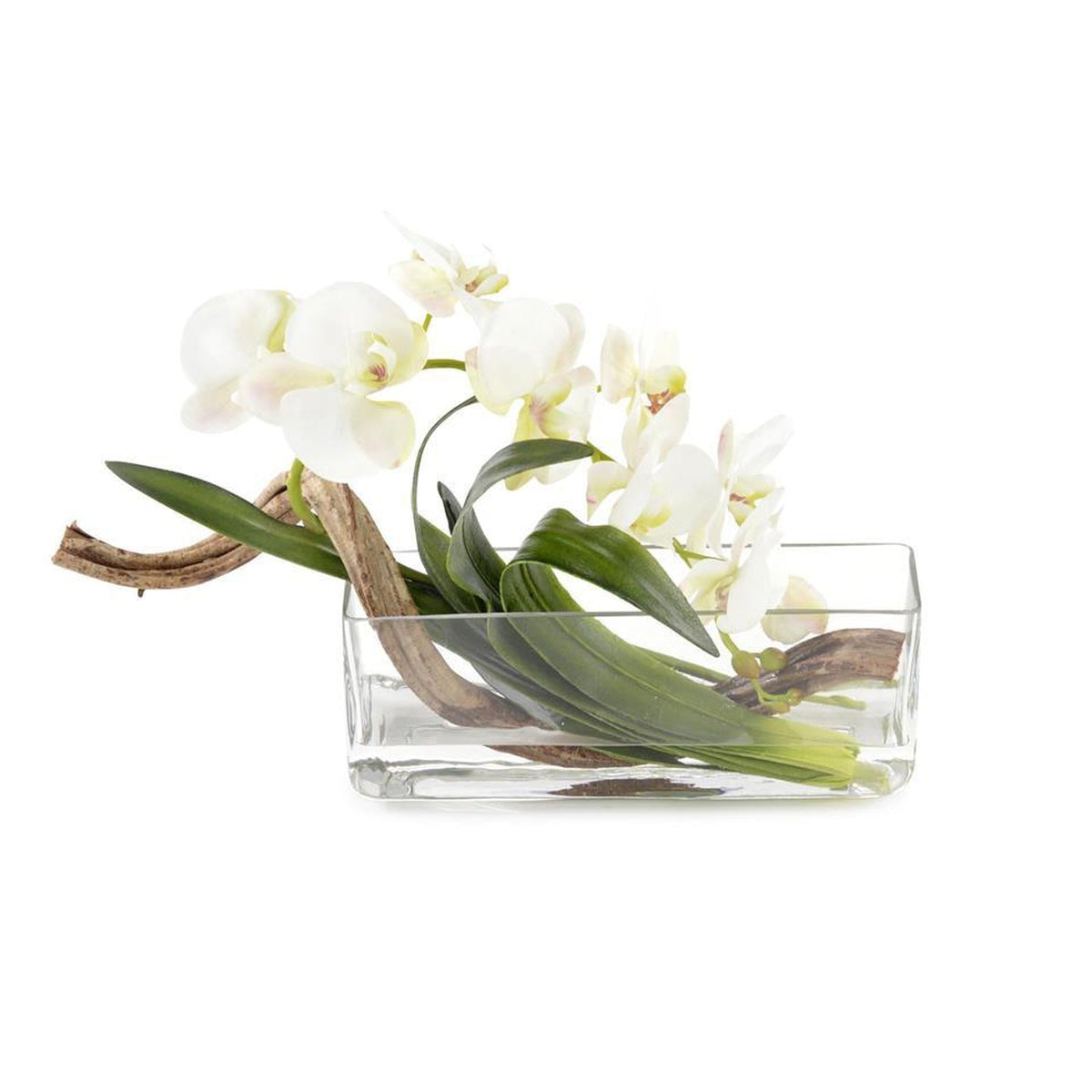 John Richard Decor Curly Orchid
