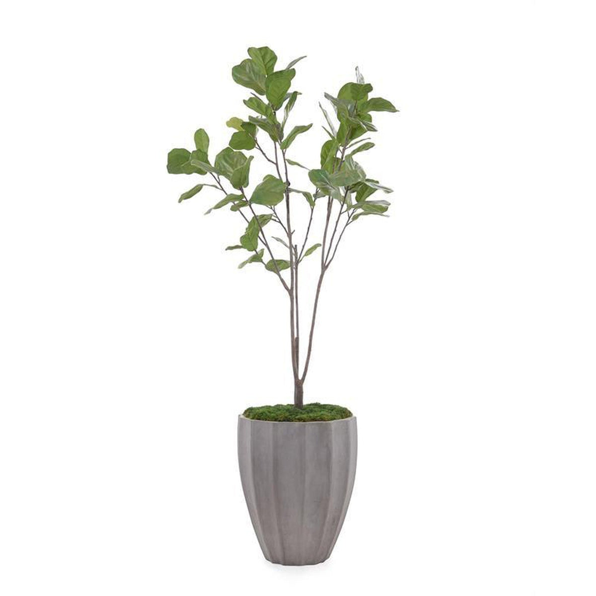 John Richard Decor Organic Fig