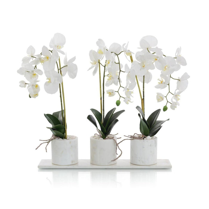 John Richard Marble Orchids - 4709W