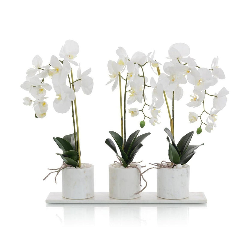 John Richard Decor Marble Orchids - 4709W