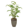 John Richard Decor Mossey Fern