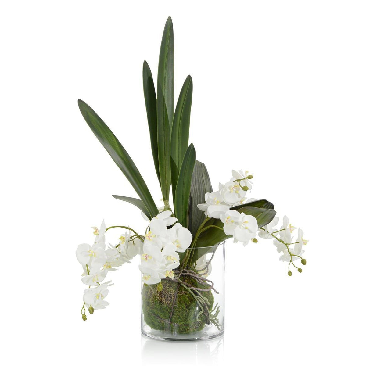 John Richard Decor Mossy Orchids