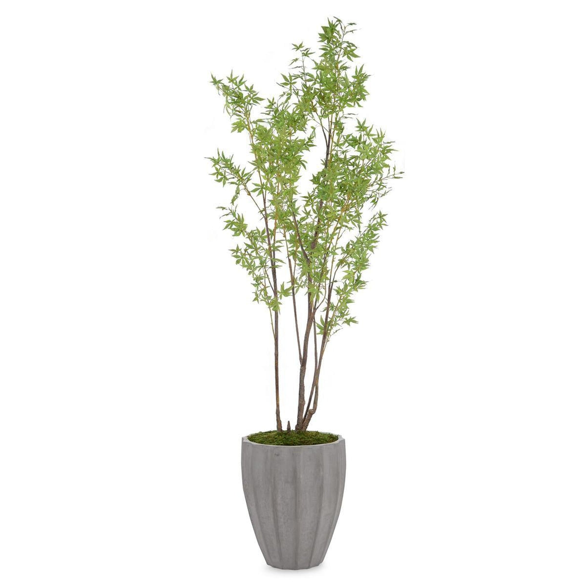 John Richard Decor Rocky Mountain Maple